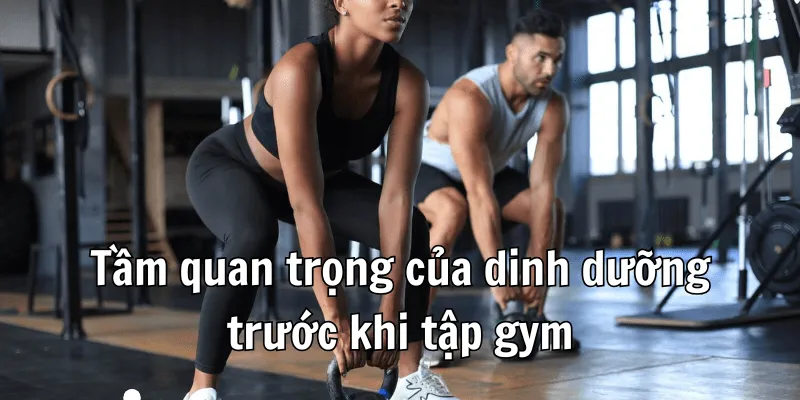 Nên Ăn Gì Trước Khi Tập Gym - Chiến Lược Dinh Dưỡng Tối Ưu 1 Nên Ăn Gì Trước Khi Tập Gym - Chiến Lược Dinh Dưỡng Tối Ưu