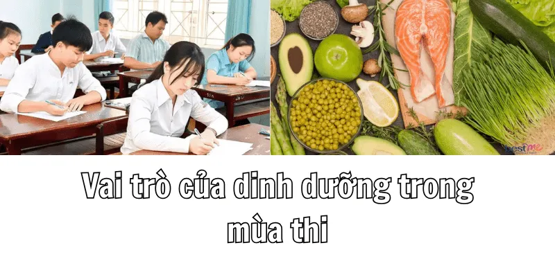 Trước Khi Đi Thi Nên Ăn Gì Để Có Kết Quả Tốt