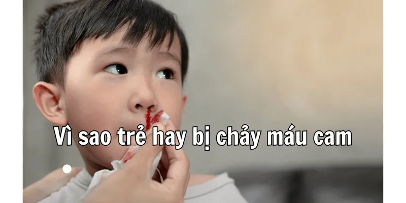 Trẻ Hay Bị Chảy Máu Cam Nên Ăn Gì 1 Trẻ Hay Bị Chảy Máu Cam Nên Ăn Gì