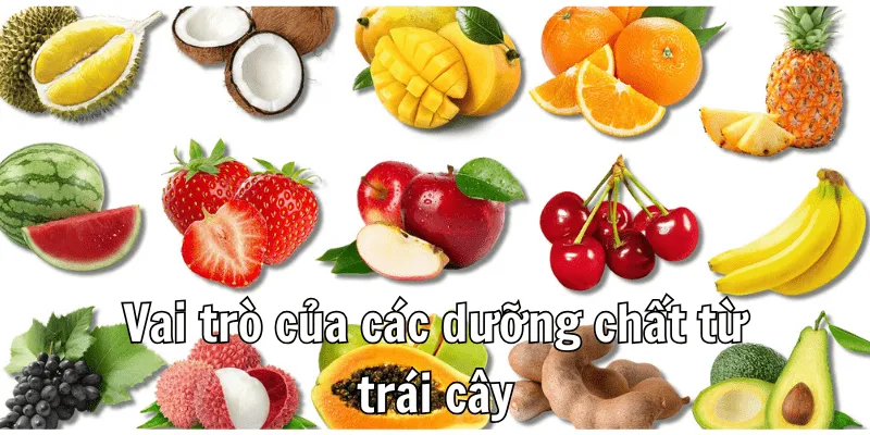 Bị covid nên ăn trái cây gì để bổ sung chất?