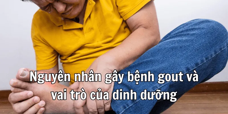 Người Bị Gout Không Nên Ăn Gì? Chế Độ Thực Phẩm Phục Hồi Sức Nhanh 1 1 min 20