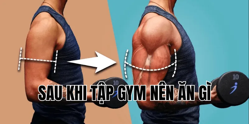 Sau Khi Tập Gym Nên Ăn Gì Để Tăng Cơ Nhanh Chóng 9 Nên Ăn Gì Trước Khi Quan Hệ? Top Thực Phẩm Cho Kết Quả Không Ngờ