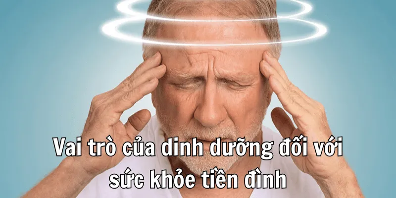 Dinh dưỡng đóng vai trò quan trọng với sức khoẻ Dinh dưỡng đóng vai trò quan trọng với sức khoẻ