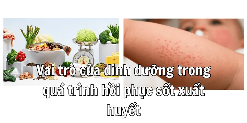 Vai trò lớn của dưỡng chất đối với sức khoẻ Vai trò lớn của dưỡng chất đối với sức khoẻ