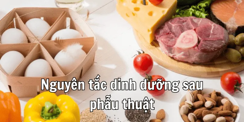 Sau Khi Cắt Polyp Đại Tràng Nên Ăn Gì Để Có Dưỡng Chất? 1 Sau Khi Cắt Polyp Đại Tràng Nên Ăn Gì Để Có Dưỡng Chất?