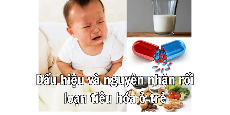 Trẻ Bị Rối Loạn Tiêu Hóa Nên Ăn Gì? Lựa Chọn Thực Phẩm Phù Hợp Cho Bé