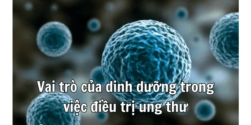 Bệnh Nhân Ung Thư Nên Ăn Gì Để Hỗ Trợ Quá Trình Điều Trị 1 Bệnh Nhân Ung Thư Nên Ăn Gì Để Hỗ Trợ Quá Trình Điều Trị