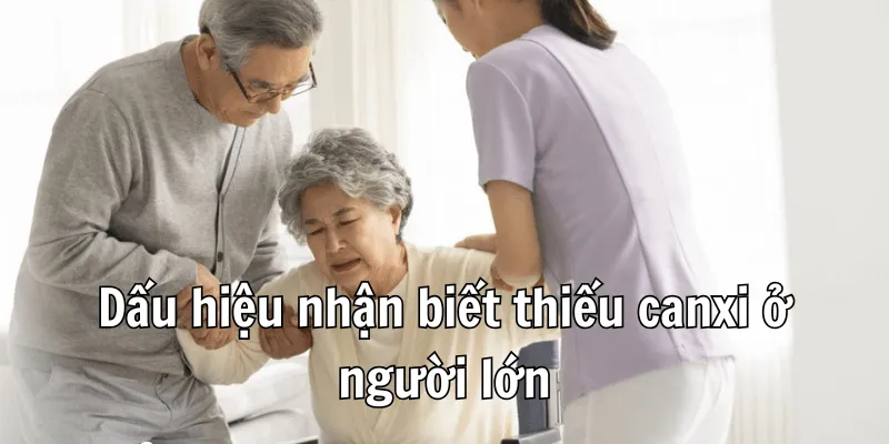 Thiếu Canxi Ở Người Lớn Nên Ăn Gì? Top Thực Phẩm Giàu Canxi Nhất 1 Thiếu Canxi Ở Người Lớn Nên Ăn Gì? Top Thực Phẩm Giàu Canxi Nhất