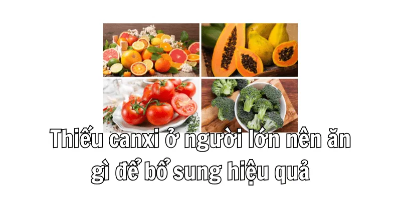 Thiếu Canxi Ở Người Lớn Nên Ăn Gì? Top Thực Phẩm Giàu Canxi Nhất 2 2 2 min 4