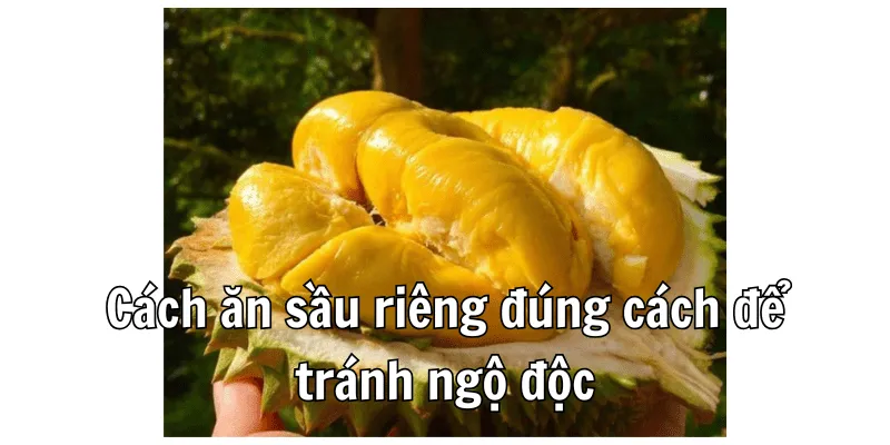 Ăn Sầu Riêng Không Nên Uống Gì - Top Thực Phẩm Đại Kỵ 3 2 3 min 5