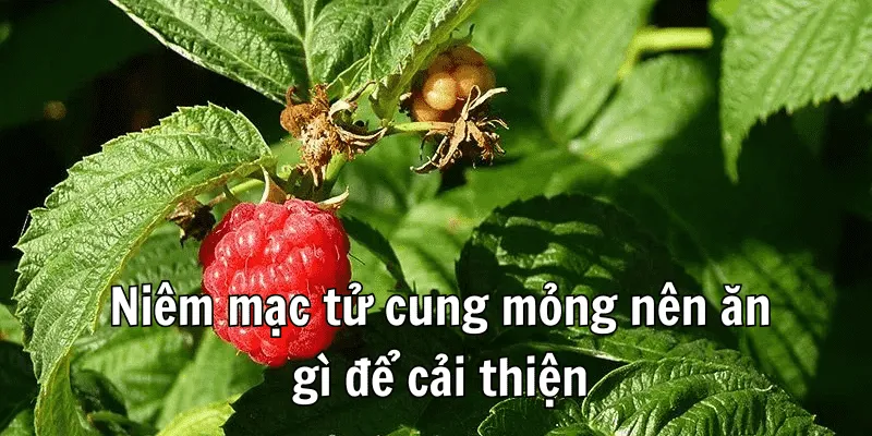 Niêm Mạc Tử Cung Mỏng Nên Ăn Gì Để cải Thiện 2 2 min 19
