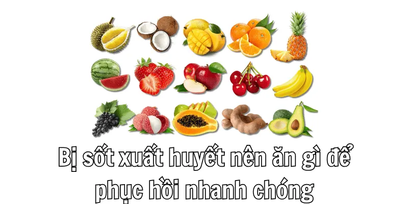 Bị sốt xuất huyết nên ăn gì là câu hỏi của rất nhiều người Bị sốt xuất huyết nên ăn gì là câu hỏi của rất nhiều người
