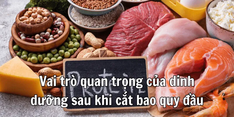 Sau Khi Cắt Bao Quy Đầu Nên Ăn Gì Để Nhanh Lành