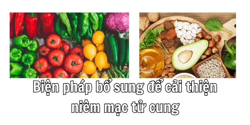 Niêm Mạc Tử Cung Mỏng Nên Ăn Gì Để cải Thiện 3 3 min 19