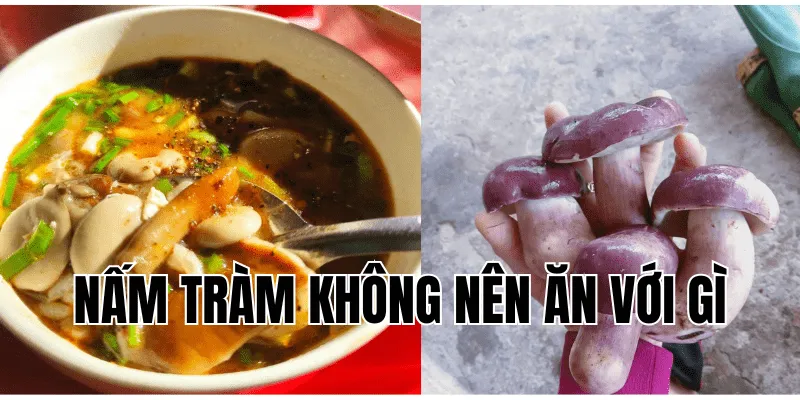 Nấm Tràm Không Nên Ăn Với Gì Để Tránh Gây Hại Sức Khoẻ 5 Suy Nhược Cơ Thể Nên Ăn Gì Để Phục Hồi Nhanh Chóng