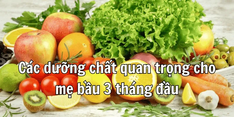 Các dưỡng chất quan trọng cho mẹ bầu 3 tháng đầu