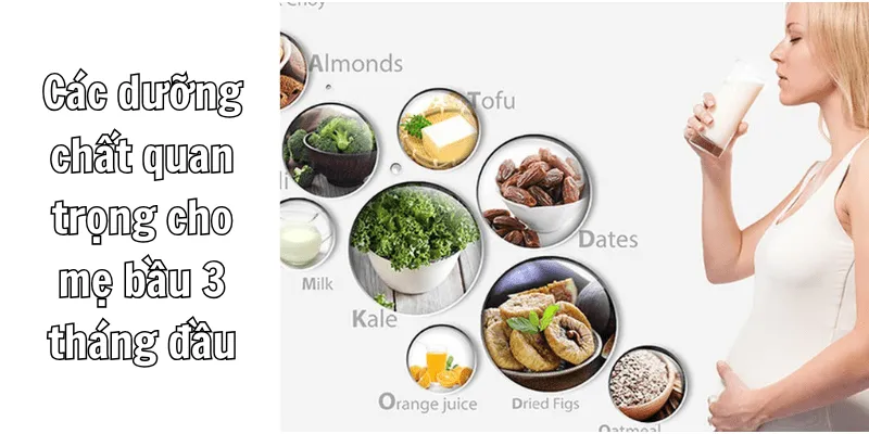 3 thang dau thai ky nen an gi4