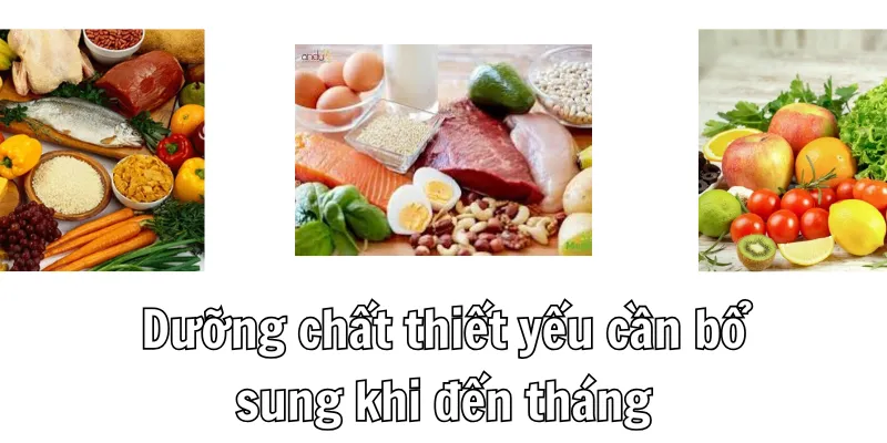 Con gái đến tháng nên ăn gì để bổ sung dưỡng chất Con gái đến tháng nên ăn gì để bổ sung dưỡng chất