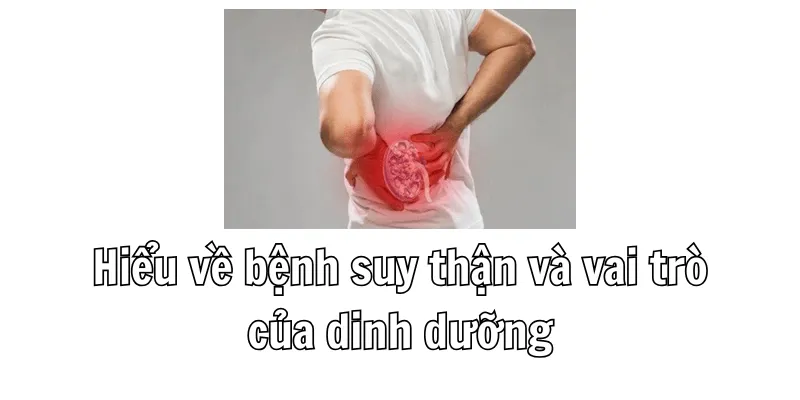 Người Bị Suy Thận Nên Ăn Gì? Top 20 Thực Phẩm Hỗ Trợ Chức Năng Thận