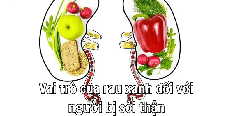 Bị Sỏi Thận Nên Ăn Rau Gì Giúp Kiểm Soát Bệnh Hiệu Quả 1 Bị Sỏi Thận Nên Ăn Rau Gì Giúp Kiểm Soát Bệnh Hiệu Quả