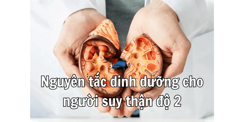 Suy Thận Độ 2 Nên Ăn Gì - Thực Đơn Hỗ Trợ Sức Khoẻ Của Bạn