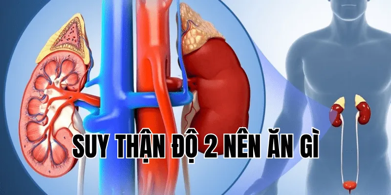 Suy Thận Độ 2 Nên Ăn Gì - Thực Đơn Hỗ Trợ Sức Khoẻ Của Bạn 4 Suy Nhược Cơ Thể Nên Ăn Gì Để Phục Hồi Nhanh Chóng