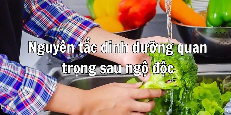 Ngộ Độc Thực Phẩm Nên Ăn Gì - Các Thực Phẩm Giúp Phục Hồi Nhanh Chóng 2 Các nguyên tắc dinh dưỡng cần thiết cho người bị ngộ độc thực phẩm
