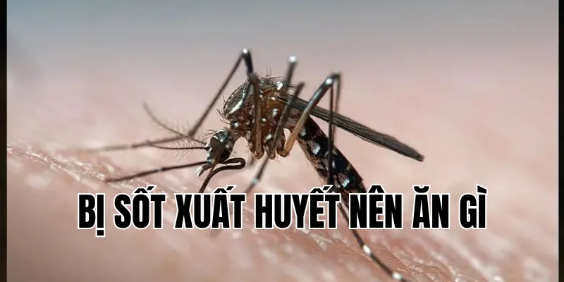 thumb andhramirchi net 2