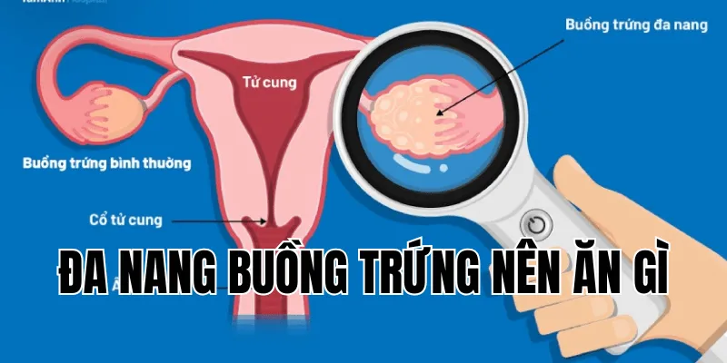 thumb andhramirchi net min 17